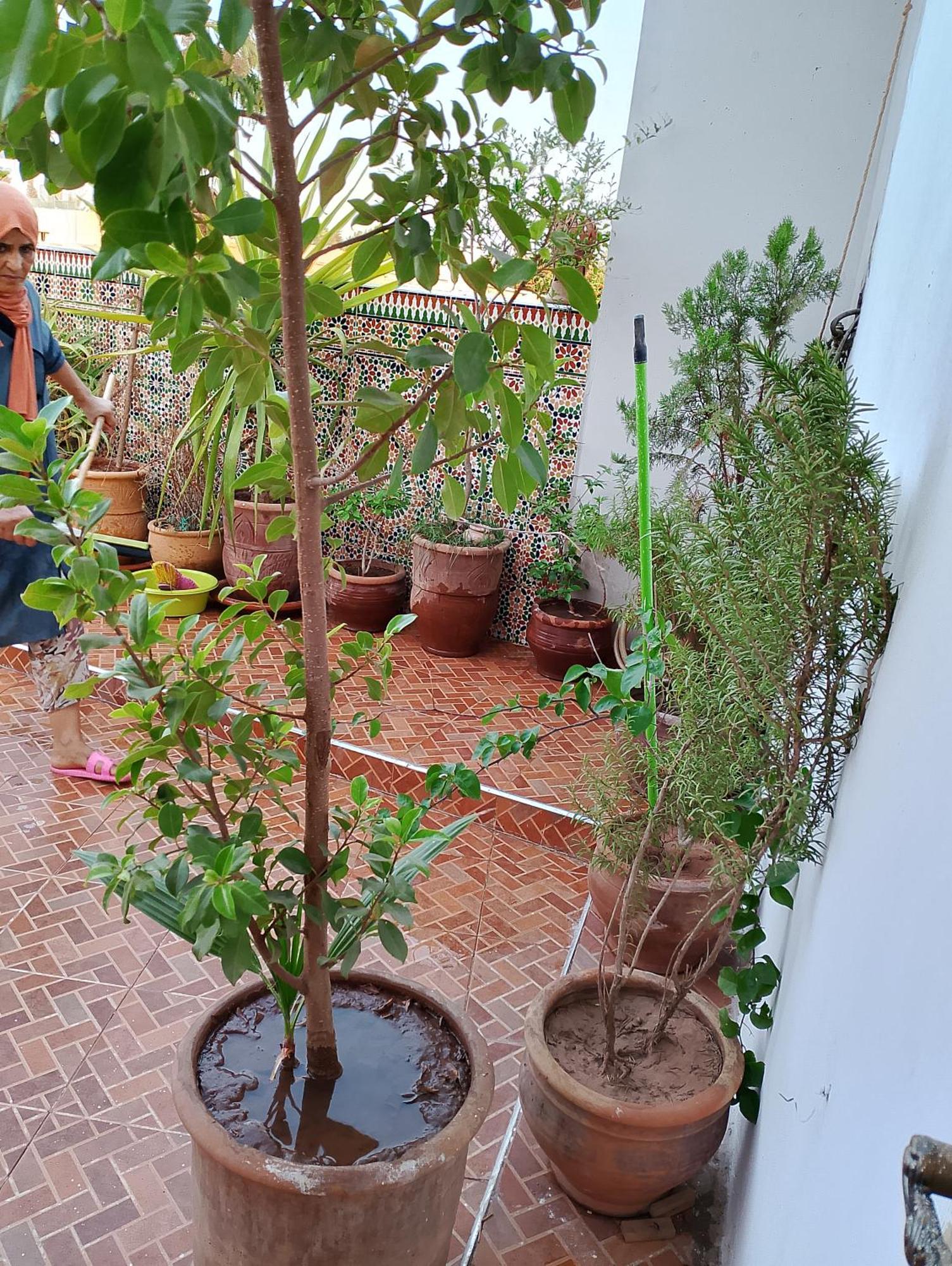 Hotel Bab Doukkala Marrakesh Extérieur photo